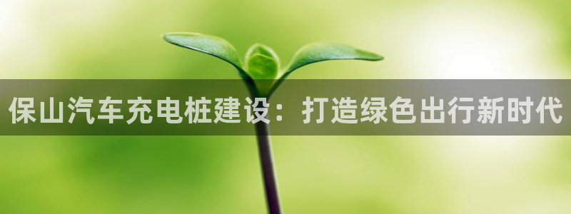 威廉希尔买入量从哪里看