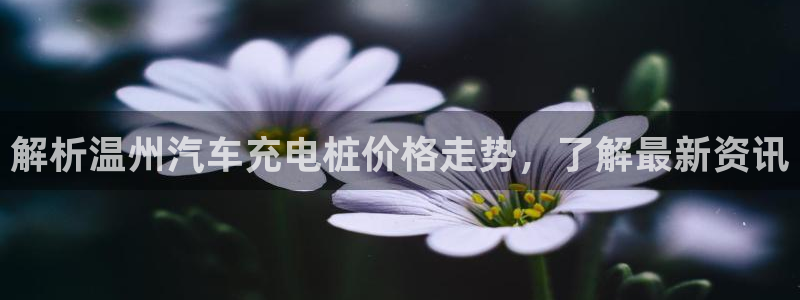 立博与威廉希尔对比分析：解析温州汽车充电桩价格走势，了解最新资讯