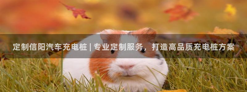 威廉希尔1.91有什么说法：定制信阳汽车充电桩 | 专业定制服务，打造高品质充电桩方案