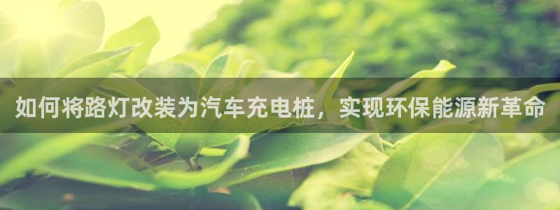 威廉希尔亚盘开盘特点：如何将路灯改装为汽车充电桩，实现环保能源新革命