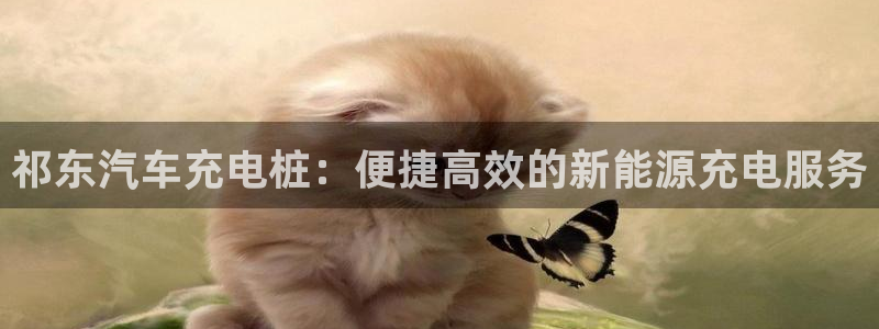 巴甲威廉希尔初赔