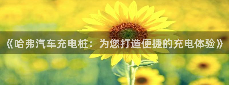 威廉指数计算公式：《哈弗汽车充电桩：为您打造便捷的充电体验》