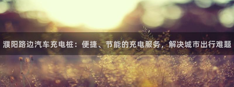 威廉希尔规律：濮阳路边汽车充电桩：便捷、节能的充电服务，解决城市出行难题