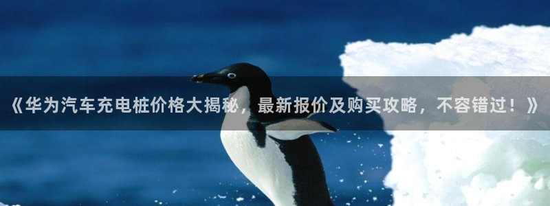 威廉希尔国内打开网址：《华为汽车充电桩价格大揭秘，最新报价及购买攻略，不容错过！》