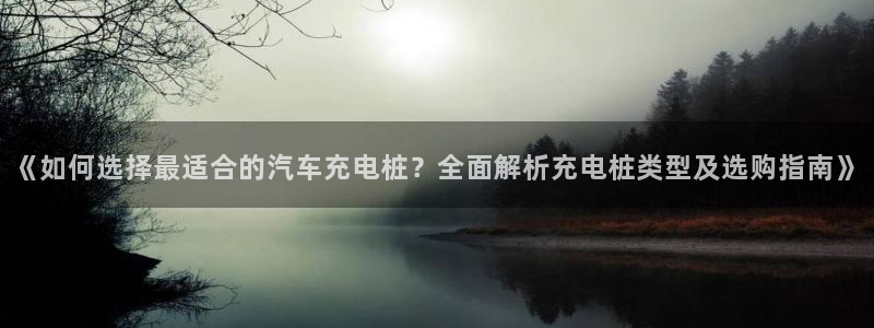 威廉希尔大小球0.91与0.8：《如何选择最适合的汽车充电桩？全面解析充电桩类型及选购指南》