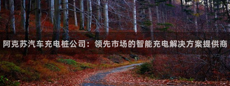 威廉希尔中国注册：阿克苏汽车充电桩公司：领先市场的智能充电解决方案提供商