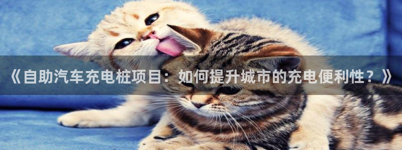 威廉希尔 1.33：《自助汽车充电桩项目：如何提升城市的充电便利性？》