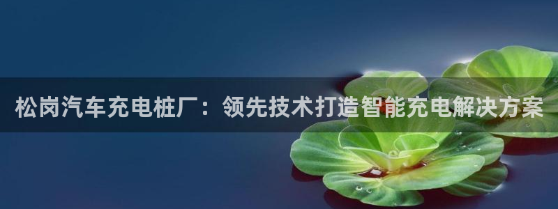 威廉希尔与立博技巧：松岗汽车充电桩厂：领先技术打造智能充电解决方案