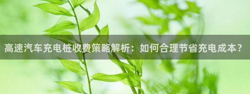威廉希尔 1.75 3.90 4.20：高速汽车充电桩收费策略解析：如何合理节省充电成本？
