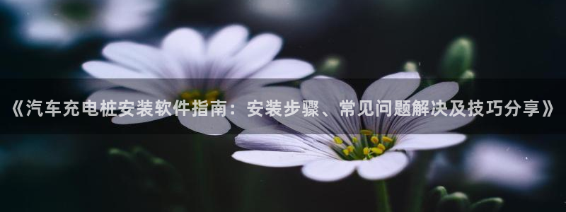 威廉与立博分析技巧：《汽车充电桩安装软件指南：安装步骤、常见问题解决及技巧分享》