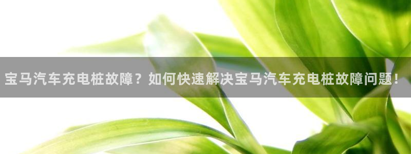威廉希尔皇冠分析方法：宝马汽车充电桩故障？如何快速解决宝马汽车充电桩故障问题！