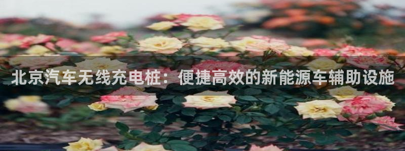 威廉希尔在国内能用吗
