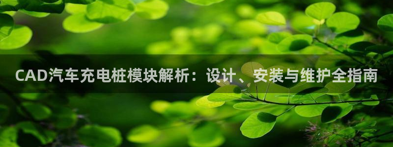 威廉希尔顿