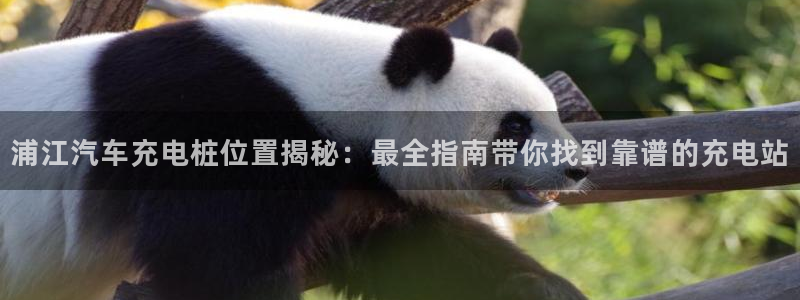 威廉希尔和立博三个指数完全一样：浦江汽车充电桩位置揭秘：最全指南带你找到靠谱的充电站