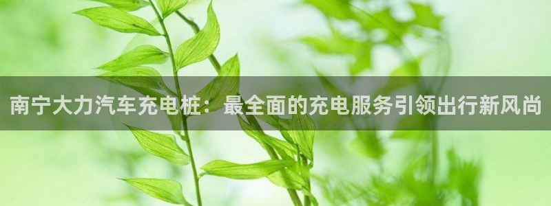 威廉希尔指数分析：南宁大力汽车充电桩：最全面的充电服务引领出行新风尚