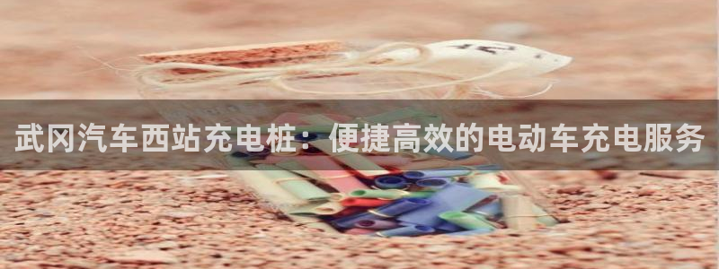 威廉希尔欧洲官网：武冈汽车西站充电桩：便捷高效的电动车充电服务