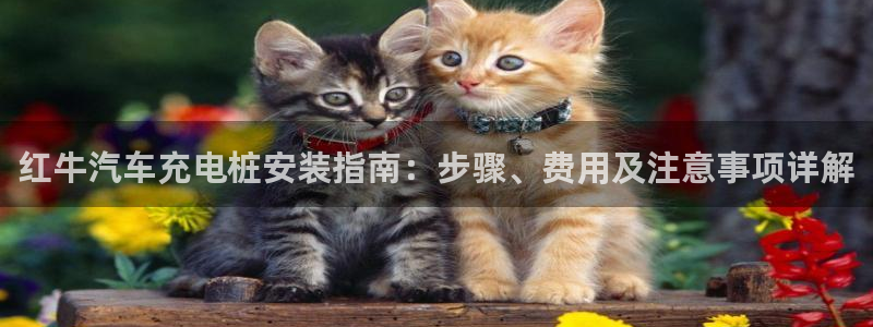 威廉的网址：红牛汽车充电桩安装指南：步骤、费用及注意事项详解