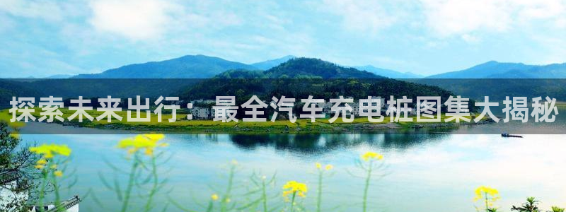 立博与威廉希尔对比分析：探索未来出行：最全汽车充电桩图集大揭秘