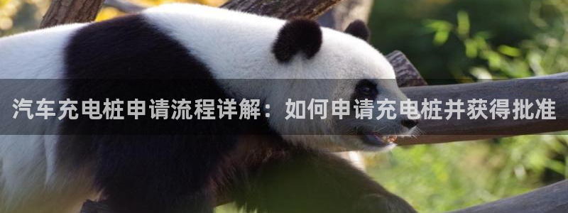 威廉踢球