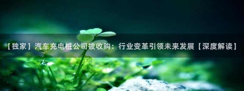 威廉希尔百度百科：【独家】汽车充电桩公司被收购：行业变革引领未来发展【深度解读】
