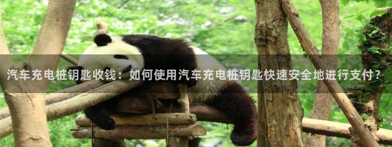 威廉澳门比较：汽车充电桩钥匙收钱：如何使用汽车充电桩钥匙快速安全地进行支付？