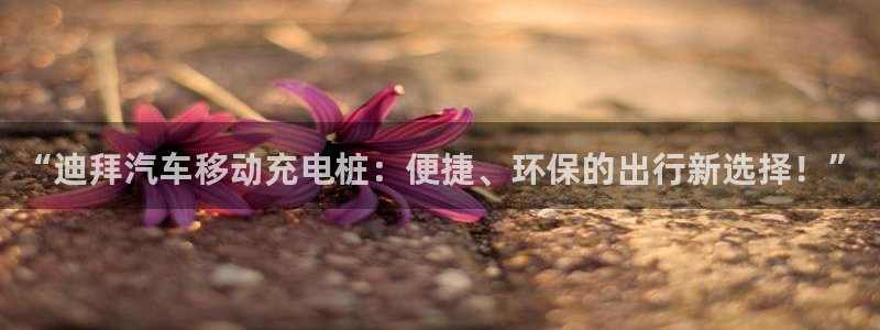 威廉希尔1.33：“迪拜汽车移动充电桩：便捷、环保的出行新选择！”