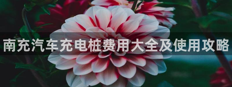 威廉希尔进球数的开盘特点：南充汽车充电桩费用大全及使用攻略