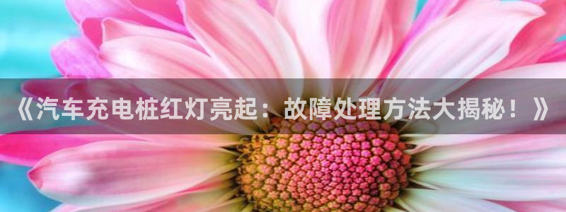威廉希尔进y b3 3。me：《汽车充电桩红灯亮起：故障处理方法大揭秘！》