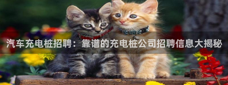 威廉与澳门的关系：汽车充电桩招聘：靠谱的充电桩公司招聘信息大揭秘