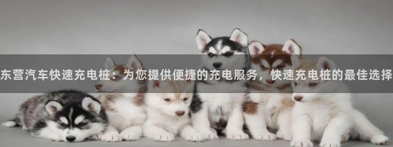 威廉希尔体育在线平台：东营汽车快速充电桩：为您提供便捷的充电服务，快速充电桩的最佳选择