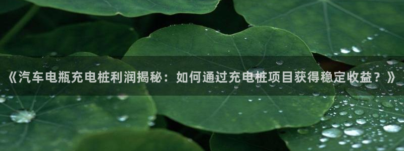 威廉希尔1.33 5 9对应赛果：《汽车电瓶充电桩利润揭秘：如何通过充电桩项目获得稳定收益？》