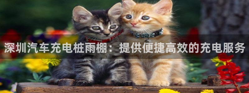 威廉国际app下载官网：深圳汽车充电桩雨棚：提供便捷高效的充电服务