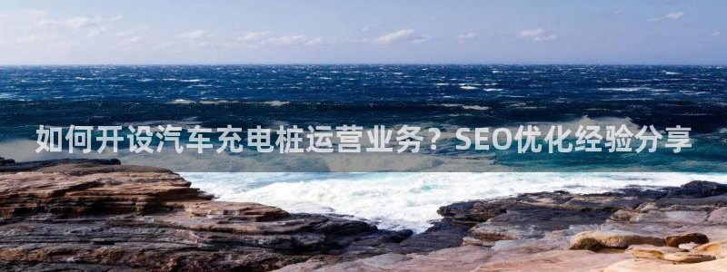 威廉希尔的分析方法2：如何开设汽车充电桩运营业务？SEO优化经验分享