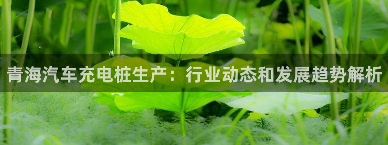 如何看懂威廉希尔指数：青海汽车充电桩生产：行业动态和发展趋势解析