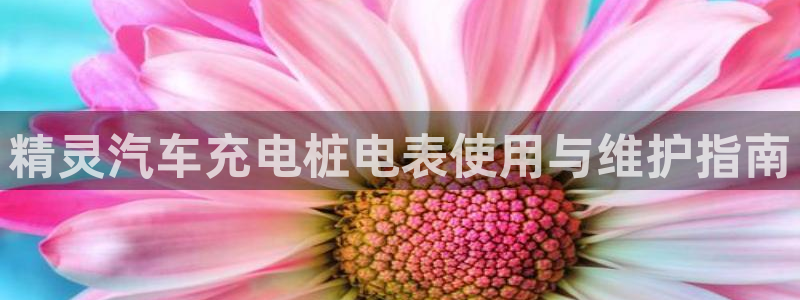 威廉希尔比立博返还率高或者低怎么判断：精灵汽车充电桩电表使用与维护指南