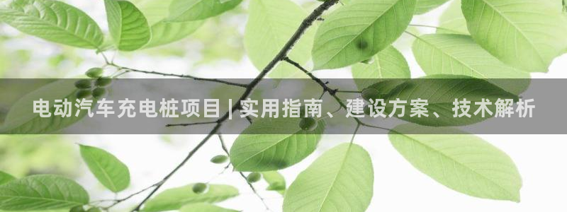 威廉指标0-20