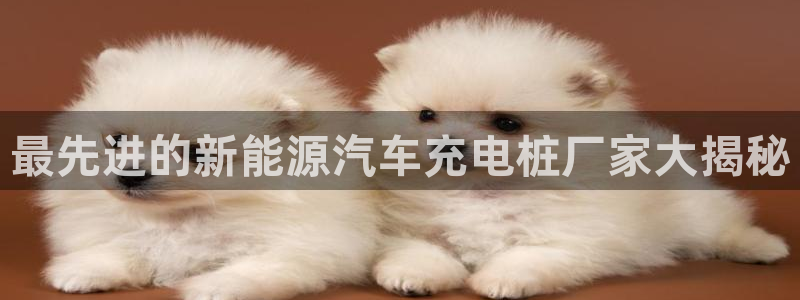 威廉客户端app下载安装：最先进的新能源汽车充电桩厂家大揭秘