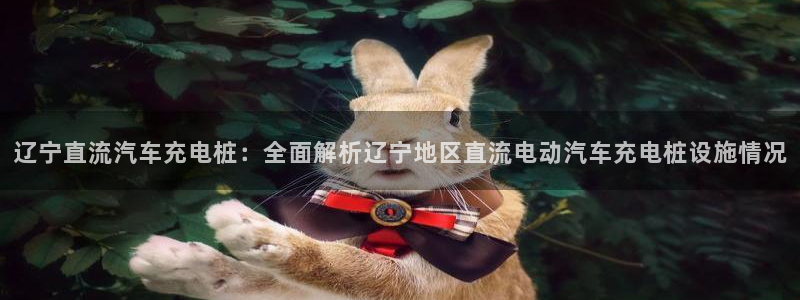 威廉希尔大小球初盘和即时盘：辽宁直流汽车充电桩：全面解析辽宁地区直流电动汽车充电桩设施情况