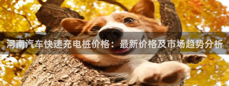 威廉希尔美职联2.10 3.40 3.10：河南汽车快速充电桩价格：最新价格及市场趋势分析