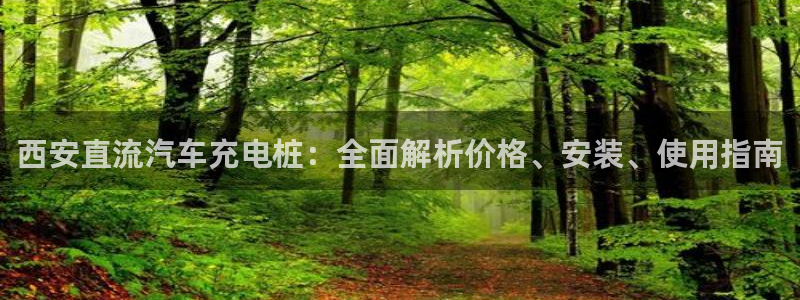 威廉希尔足球官网中国对韩国比率：西安直流汽车充电桩：全面解析价格、安装、使用指南