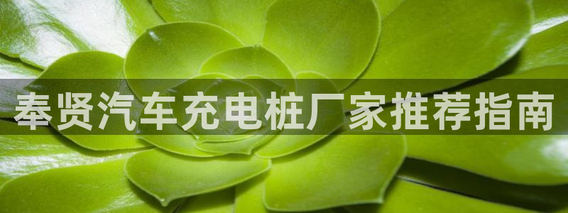 威廉体育中文