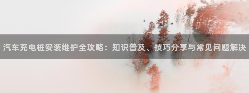 威廉希尔interwetten指数：汽车充电桩安装维护全攻略：知识普及、技巧分享与常见问题解决
