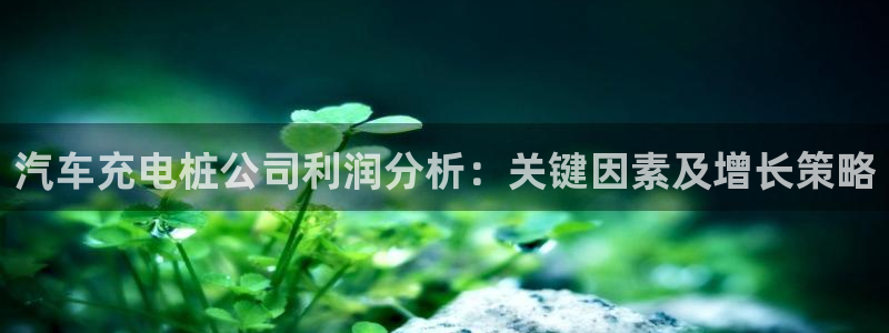 威廉希尔竞彩官方对比：汽车充电桩公司利润分析：关键因素及增长策略