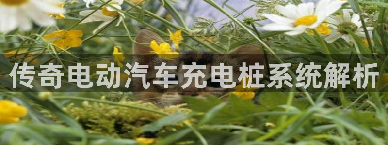 威廉希尔凯利指数怎么看：传奇电动汽车充电桩系统解析