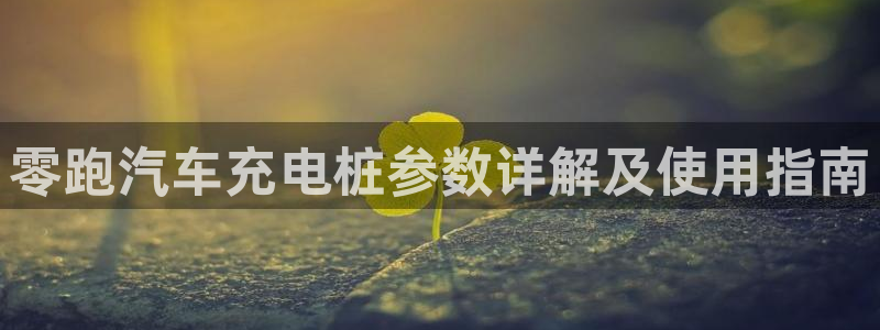 威廉希尔提现快吗：零跑汽车充电桩参数详解及使用指南