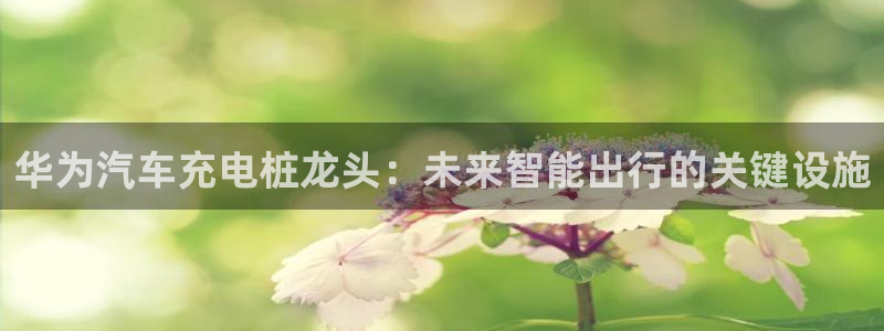 威廉国际app下载安装：华为汽车充电桩龙头：未来智能出行的关键设施
