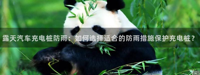 威廉指数计算公式：露天汽车充电桩防雨：如何选择适合的防雨措施保护充电桩？