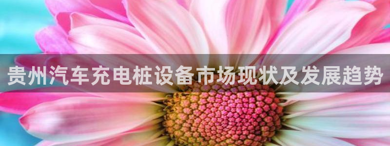 威廉希尔大小球指数怎么看：贵州汽车充电桩设备市场现状及发展趋势