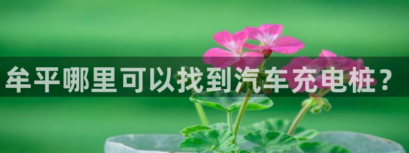 威廉希尔反波胆平台在维护吗：牟平哪里可以找到汽车充电桩？