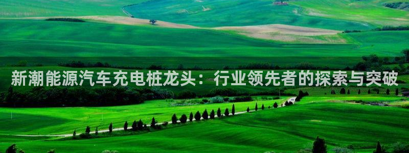 威廉希尔与立博比较：新潮能源汽车充电桩龙头：行业领先者的探索与突破